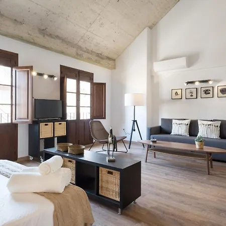 Santiago Premium Loft Iii *