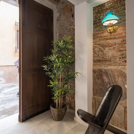Santiago Premium Loft Iii Apartment Malaga